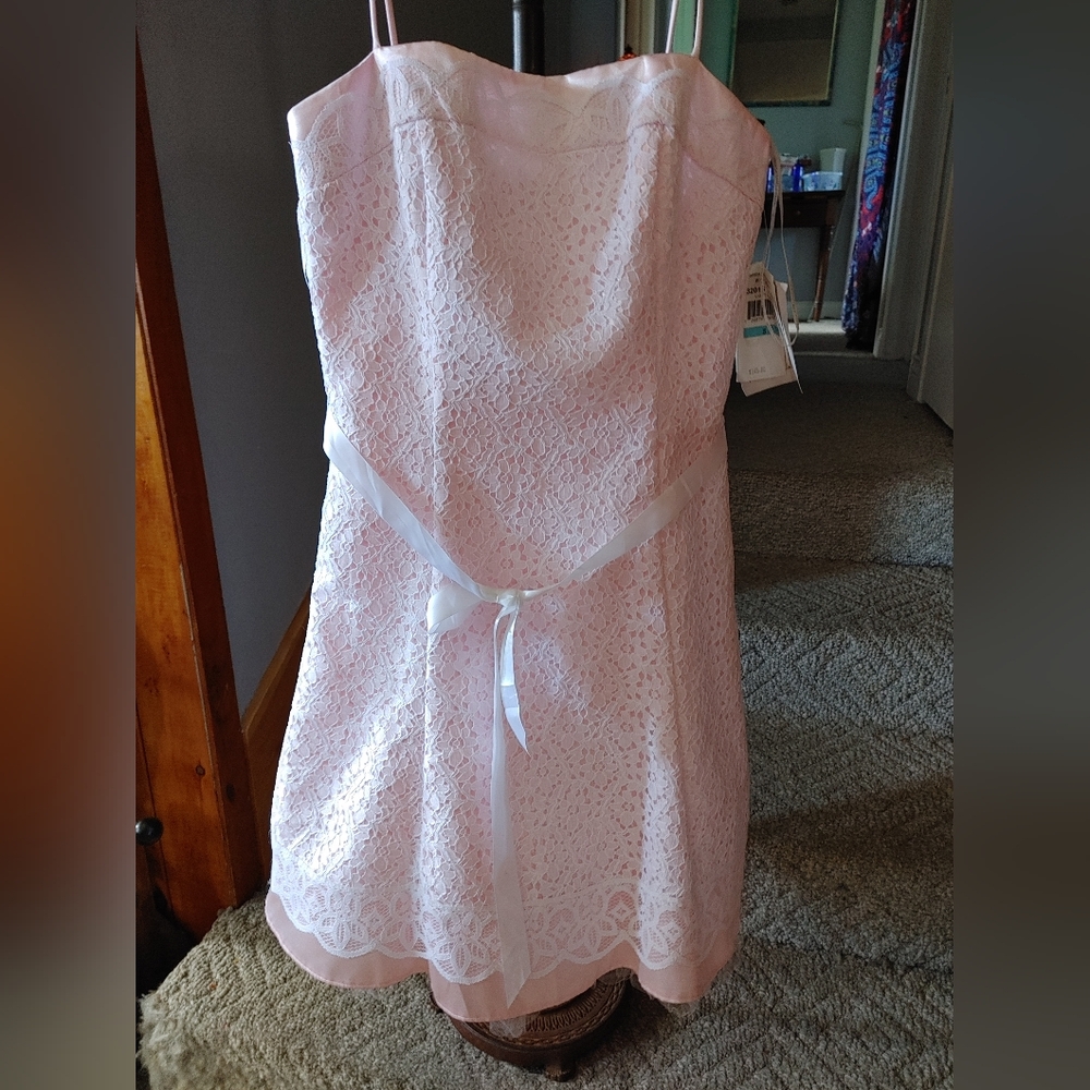 Jessica McClintock Pink lace dress Sz.5 NWT
